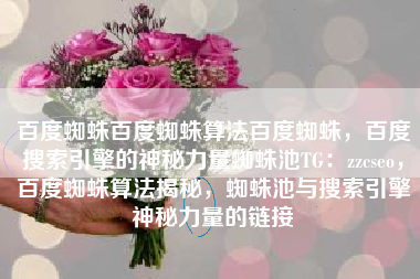 百度蜘蛛百度蜘蛛算法百度蜘蛛，百度搜索引擎的神秘力量蜘蛛池TG：zzcseo，百度蜘蛛算法揭秘，蜘蛛池与搜索引擎神秘力量的链接