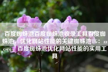 百度蜘蛛池百度蜘蛛池收录工具百度蜘蛛池，优化网站性能的关键蜘蛛池TG：zzcseo，百度蜘蛛池优化网站性能的实用工具