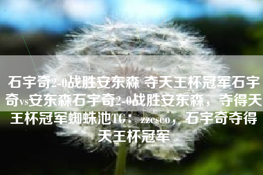 石宇奇2-0战胜安东森 夺天王杯冠军石宇奇vs安东森石宇奇2-0战胜安东森，夺得天王杯冠军蜘蛛池TG：zzcseo，石宇奇夺得天王杯冠军