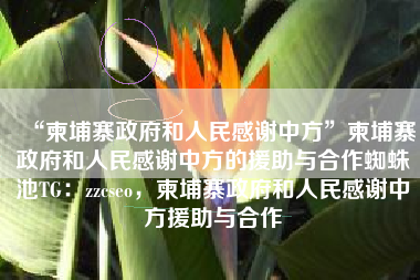 “柬埔寨政府和人民感谢中方”柬埔寨政府和人民感谢中方的援助与合作蜘蛛池TG：zzcseo，柬埔寨政府和人民感谢中方援助与合作