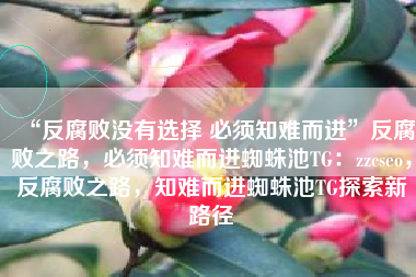 “反腐败没有选择 必须知难而进”反腐败之路，必须知难而进蜘蛛池TG：zzcseo，反腐败之路，知难而进蜘蛛池TG探索新路径