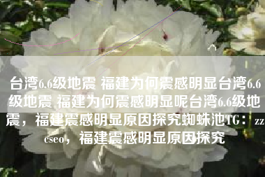 台湾6.6级地震 福建为何震感明显台湾6.6级地震 福建为何震感明显呢台湾6.6级地震，福建震感明显原因探究蜘蛛池TG：zzcseo，福建震感明显原因探究