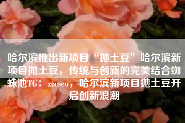 哈尔滨推出新项目“抛土豆”哈尔滨新项目抛土豆，传统与创新的完美结合蜘蛛池TG：zzcseo，哈尔滨新项目抛土豆开启创新浪潮