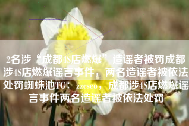 2名涉“成都4S店燃爆”造谣者被罚成都涉4S店燃爆谣言事件，两名造谣者被依法处罚蜘蛛池TG：zzcseo，成都涉4S店燃爆谣言事件两名造谣者被依法处罚