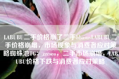 LABUBU二手价格崩了二手bbasuvLABUBU二手价格崩塌，市场现象与消费者应对策略蜘蛛池TG：zzcseo，二手市场崩塌，LABUBU价格下跌与消费者应对策略