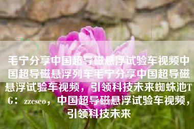 毛宁分享中国超导磁悬浮试验车视频中国超导磁悬浮列车毛宁分享中国超导磁悬浮试验车视频，引领科技未来蜘蛛池TG：zzcseo，中国超导磁悬浮试验车视频，引领科技未来