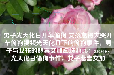 男子光天化日开车偷狗 女孩急得大哭开车偷狗视频光天化日下的偷狗事件，男子与女孩的悲喜交加蜘蛛池TG：zzcseo，光天化日偷狗事件，女子悲喜交加