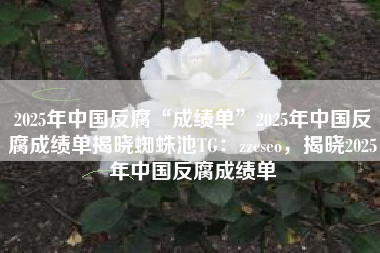 2025年中国反腐“成绩单”2025年中国反腐成绩单揭晓蜘蛛池TG：zzcseo，揭晓2025年中国反腐成绩单