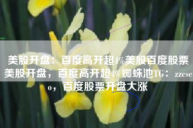 美股开盘：百度高开超4%美股百度股票美股开盘，百度高开超4%蜘蛛池TG：zzcseo，百度股票开盘大涨