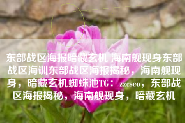 东部战区海报暗藏玄机 海南舰现身东部战区海训东部战区海报揭秘，海南舰现身，暗藏玄机蜘蛛池TG：zzcseo，东部战区海报揭秘，海南舰现身，暗藏玄机