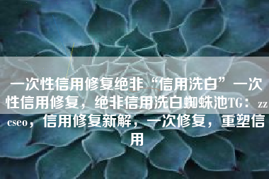 一次性信用修复绝非“信用洗白”一次性信用修复，绝非信用洗白蜘蛛池TG：zzcseo，信用修复新解，一次修复，重塑信用