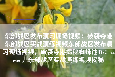 东部战区发布演习现场视频：破袭夺港东部战区实战演练视频东部战区发布演习现场视频，破袭夺港揭秘蜘蛛池TG：zzcseo，东部战区实战演练视频揭秘