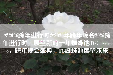 #2026跨年进行时#2026年跨年晚会2026跨年进行时，展望新的一年蜘蛛池TG：zzcseo，跨年晚会盛典，TG蜘蛛池展望未来