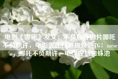 电影《哪吒》发文：不负期许影片哪吒不负期许，电影哪吒观感蜘蛛池TG：zzcseo，哪吒不负期许，电影观感蜘蛛池