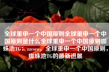 全球重申一个中国原则全球重申一个中国原则是什么全球重申一个中国原则蜘蛛池TG：zzcseo，全球重申一个中国原则，蜘蛛池TG的最新进展
