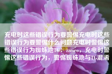 充电时这些错误行为要警惕充电时这些错误行为要警惕什么问题充电时警惕这些错误行为蜘蛛池TG：zzcseo，充电时警惕这些错误行为，警惕蜘蛛池与TG混淆