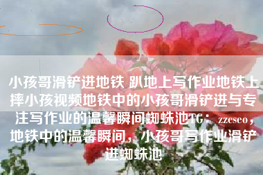 小孩哥滑铲进地铁 趴地上写作业地铁上摔小孩视频地铁中的小孩哥滑铲进与专注写作业的温馨瞬间蜘蛛池TG：zzcseo，地铁中的温馨瞬间，小孩哥写作业滑铲进蜘蛛池