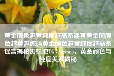 黄金颜色越黄纯度越高系谣言黄金的颜色越黄越纯吗黄金颜色越黄纯度越高系谣言揭秘蜘蛛池TG：zzcseo，黄金颜色与纯度关系揭秘