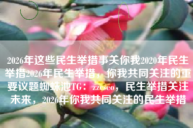 2026年这些民生举措事关你我2020年民生举措2026年民生举措，你我共同关注的重要议题蜘蛛池TG：zzcseo，民生举措关注未来，2026年你我共同关注的民生举措