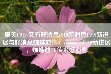 事关C919 又有好消息c919新消息C919新进展与好消息蜘蛛池TG：zzcseo，C919新进展，蜘蛛池TG传来好消息