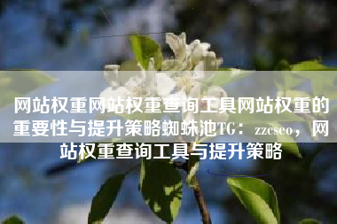网站权重网站权重查询工具网站权重的重要性与提升策略蜘蛛池TG：zzcseo，网站权重查询工具与提升策略