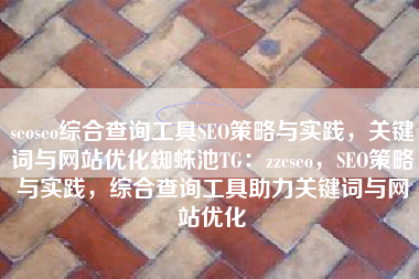 seoseo综合查询工具SEO策略与实践，关键词与网站优化蜘蛛池TG：zzcseo，SEO策略与实践，综合查询工具助力关键词与网站优化