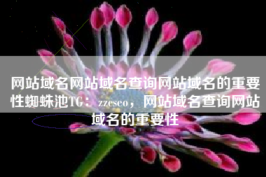 网站域名网站域名查询网站域名的重要性蜘蛛池TG：zzcseo，网站域名查询网站域名的重要性