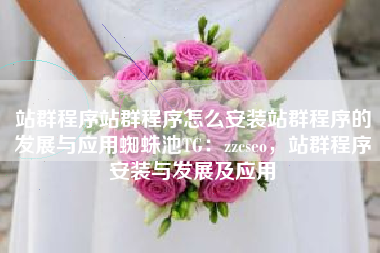 站群程序站群程序怎么安装站群程序的发展与应用蜘蛛池TG：zzcseo，站群程序安装与发展及应用