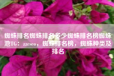 蜘蛛排名蜘蛛排名多少蜘蛛排名榜蜘蛛池TG：zzcseo，蜘蛛排名榜，蜘蛛种类及排名