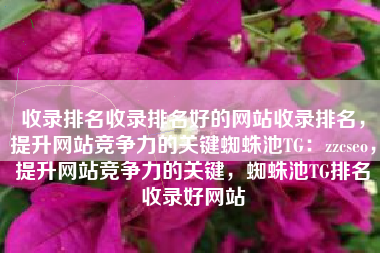 收录排名收录排名好的网站收录排名，提升网站竞争力的关键蜘蛛池TG：zzcseo，提升网站竞争力的关键，蜘蛛池TG排名收录好网站
