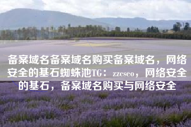 备案域名备案域名购买备案域名，网络安全的基石蜘蛛池TG：zzcseo，网络安全的基石，备案域名购买与网络安全