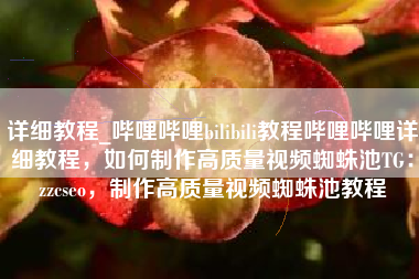 详细教程_哔哩哔哩bilibili教程哔哩哔哩详细教程，如何制作高质量视频蜘蛛池TG：zzcseo，制作高质量视频蜘蛛池教程