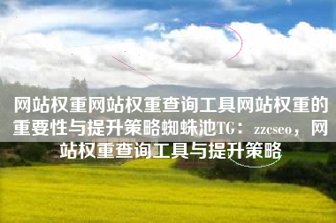 网站权重网站权重查询工具网站权重的重要性与提升策略蜘蛛池TG：zzcseo，网站权重查询工具与提升策略