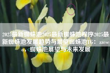 2025最新蜘蛛池2025最新蜘蛛池程序2025最新蜘蛛池发展趋势与展望蜘蛛池TG：zzcseo，蜘蛛池展望与未来发展