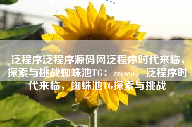 泛程序泛程序源码网泛程序时代来临，探索与挑战蜘蛛池TG：zzcseo，泛程序时代来临，蜘蛛池TG探索与挑战