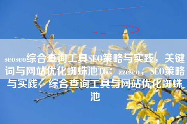 seoseo综合查询工具SEO策略与实践，关键词与网站优化蜘蛛池TG：zzcseo，SEO策略与实践，综合查询工具与网站优化蜘蛛池