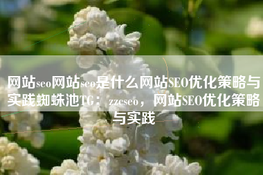 网站seo网站seo是什么网站SEO优化策略与实践蜘蛛池TG：zzcseo，网站SEO优化策略与实践