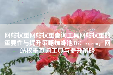 网站权重网站权重查询工具网站权重的重要性与提升策略蜘蛛池TG：zzcseo，网站权重查询工具与提升策略