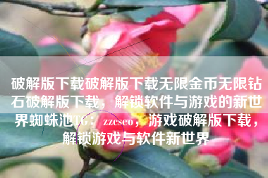 破解版下载破解版下载无限金币无限钻石破解版下载，解锁软件与游戏的新世界蜘蛛池TG：zzcseo，游戏破解版下载，解锁游戏与软件新世界