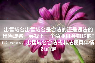 出售域名出售域名是合法的还是违法的出售域名，寻找下一个商业机会蜘蛛池TG：zzcseo，出售域名合法或非法视具体情况而定