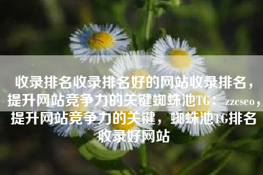 收录排名收录排名好的网站收录排名，提升网站竞争力的关键蜘蛛池TG：zzcseo，提升网站竞争力的关键，蜘蛛池TG排名收录好网站