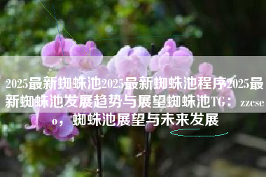 2025最新蜘蛛池2025最新蜘蛛池程序2025最新蜘蛛池发展趋势与展望蜘蛛池TG：zzcseo，蜘蛛池展望与未来发展