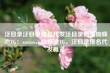 泛目录泛目录排名代发泛目录概览蜘蛛池TG：zzcseo，蜘蛛池TG，泛目录排名代发概览