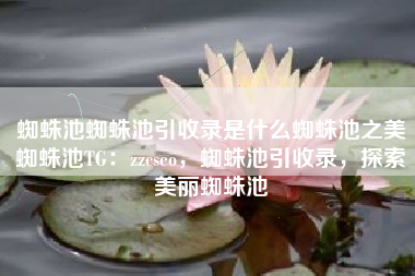 蜘蛛池蜘蛛池引收录是什么蜘蛛池之美蜘蛛池TG：zzcseo，蜘蛛池引收录，探索美丽蜘蛛池