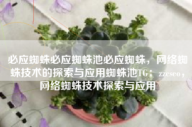 必应蜘蛛必应蜘蛛池必应蜘蛛，网络蜘蛛技术的探索与应用蜘蛛池TG：zzcseo，网络蜘蛛技术探索与应用