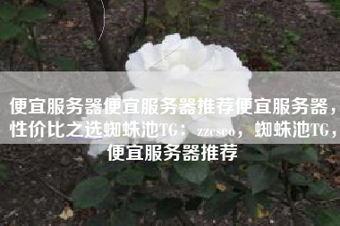 便宜服务器便宜服务器推荐便宜服务器，性价比之选蜘蛛池TG：zzcseo，蜘蛛池TG，便宜服务器推荐