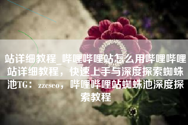 站详细教程_哔哩哔哩站怎么用哔哩哔哩站详细教程，快速上手与深度探索蜘蛛池TG：zzcseo，哔哩哔哩站蜘蛛池深度探索教程