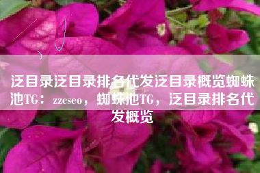 泛目录泛目录排名代发泛目录概览蜘蛛池TG：zzcseo，蜘蛛池TG，泛目录排名代发概览