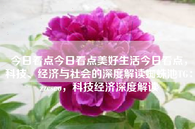 今日看点今日看点美好生活今日看点，科技、经济与社会的深度解读蜘蛛池TG：zzcseo，科技经济深度解读