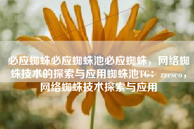 必应蜘蛛必应蜘蛛池必应蜘蛛，网络蜘蛛技术的探索与应用蜘蛛池TG：zzcseo，网络蜘蛛技术探索与应用